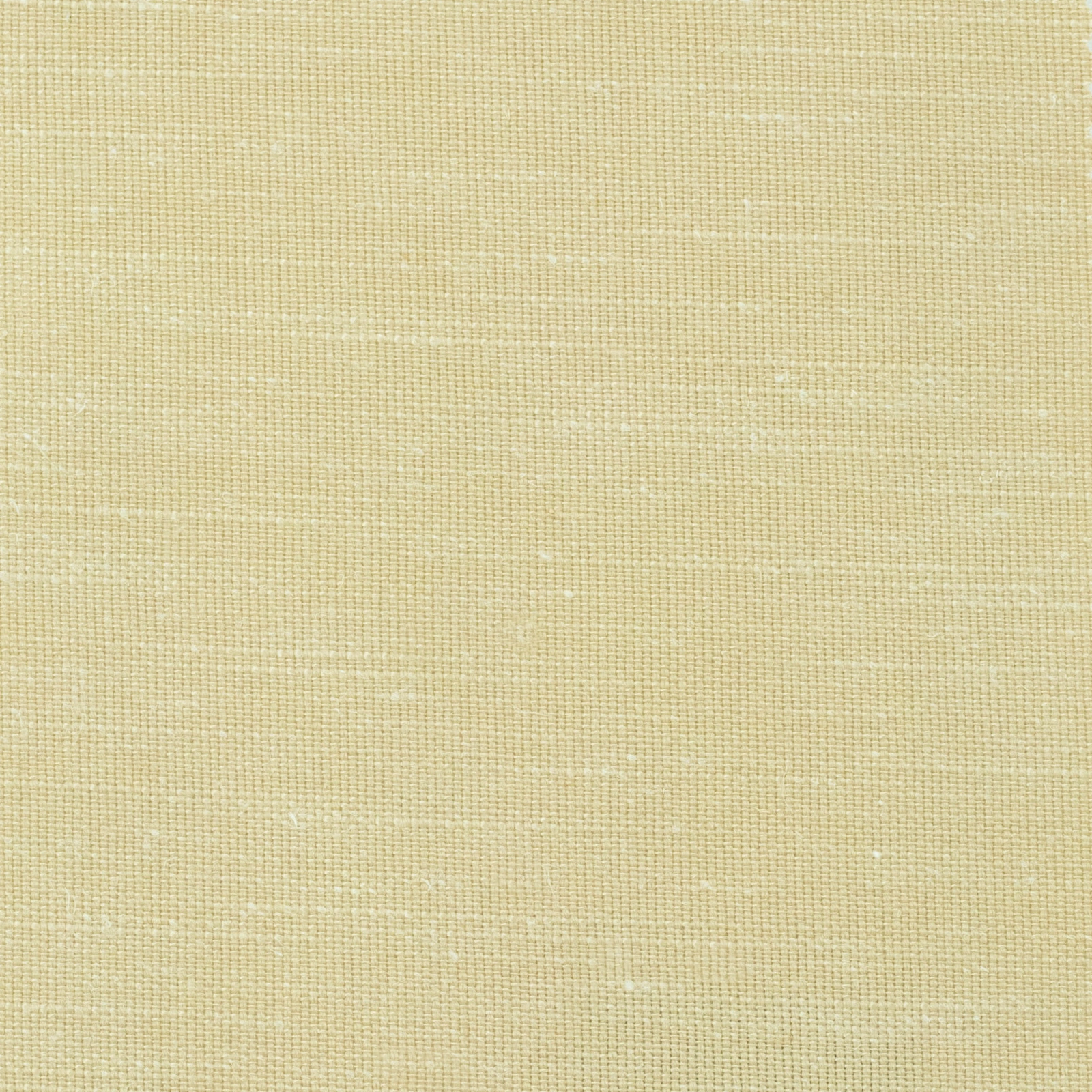 GG01167-005