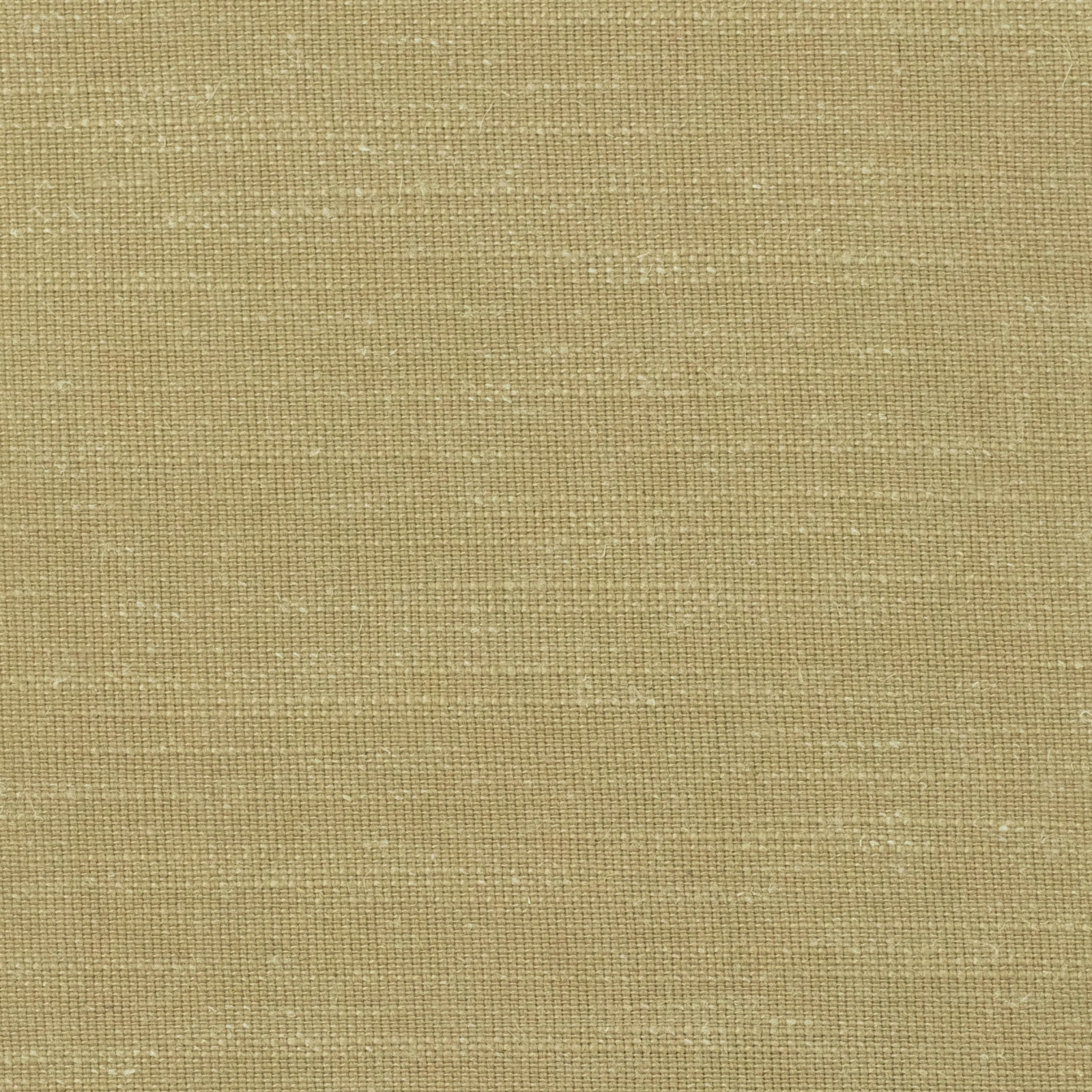 GG01167-006