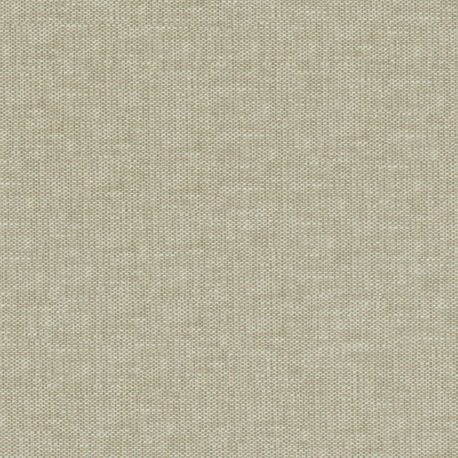 GG01242-005