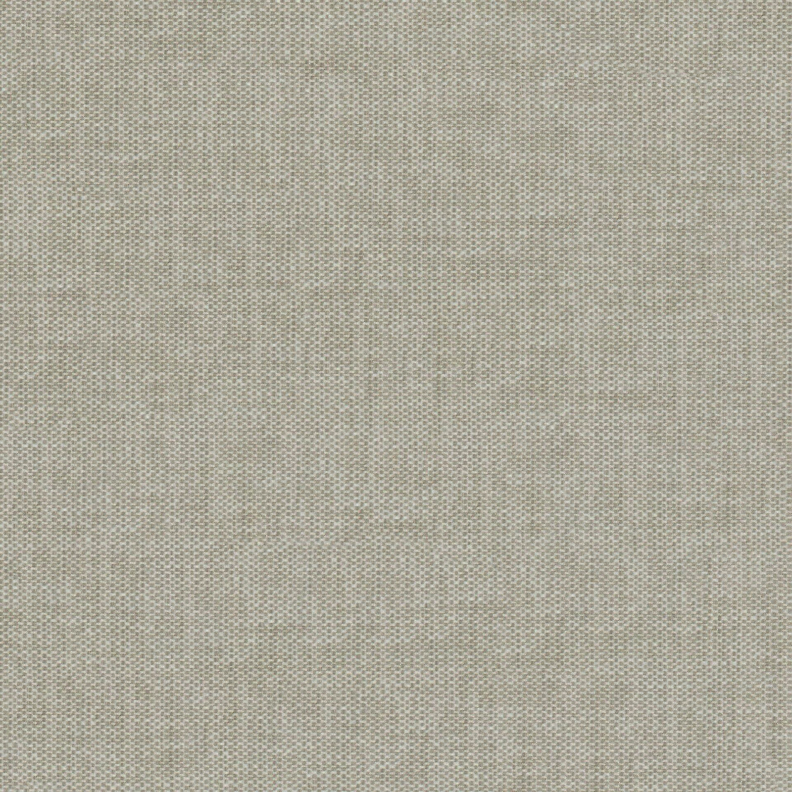 GG01242-007
