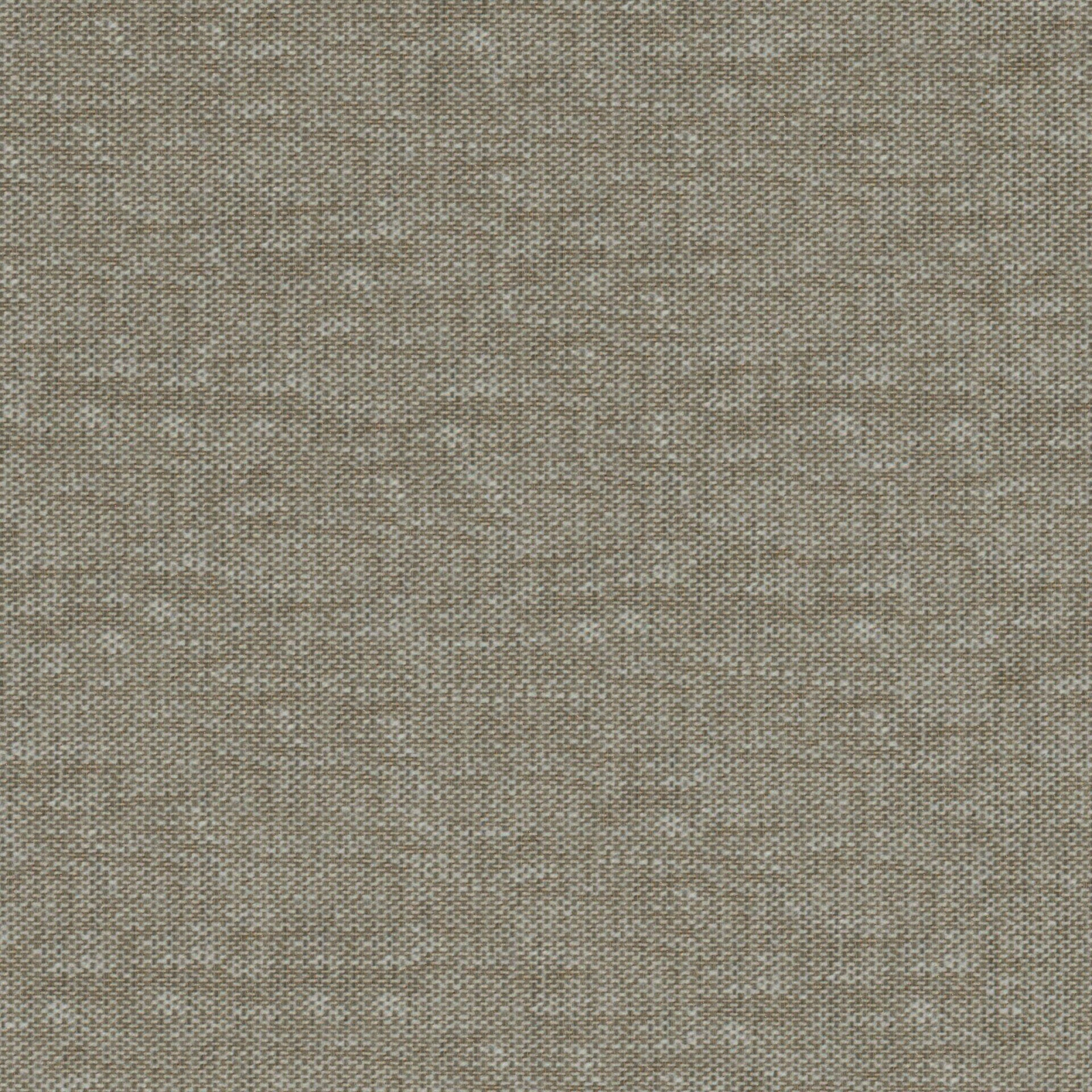 GG01242-009