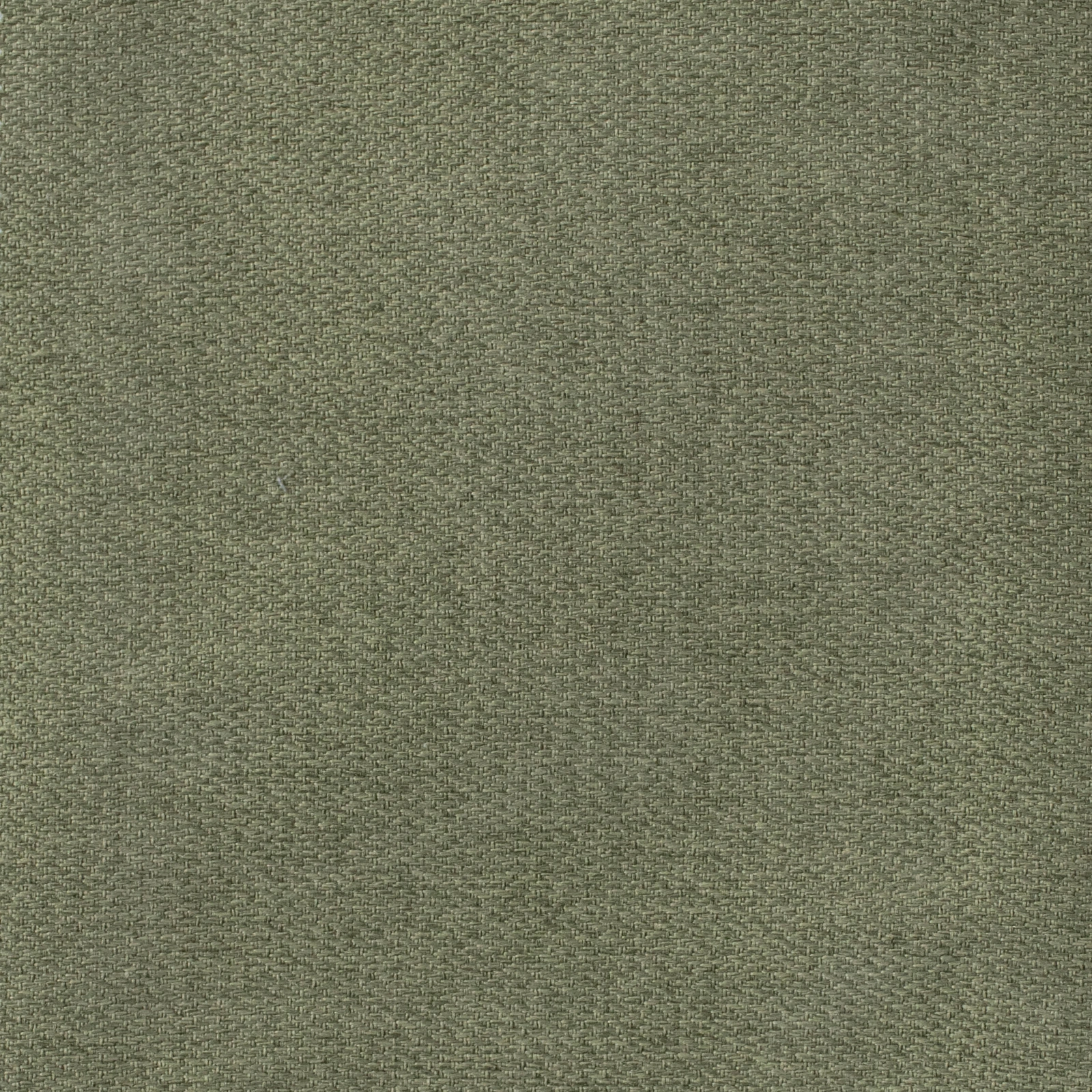 GG01345-007