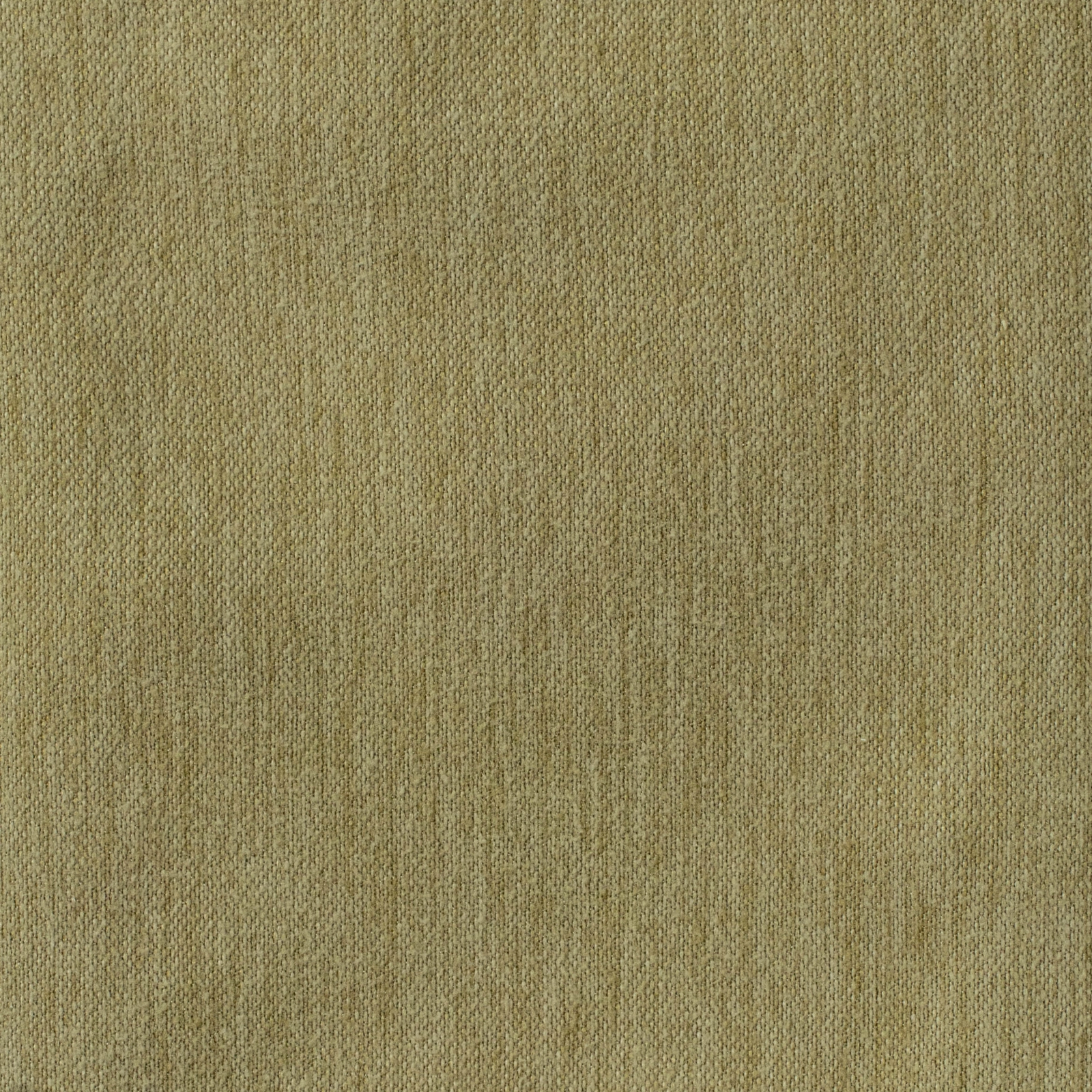 GG01347-004