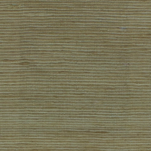 GG00546-002