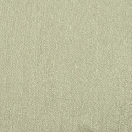 GG00993-010