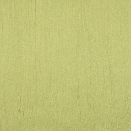 GG00993-020