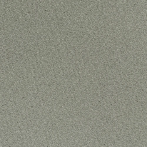 GG01001-407