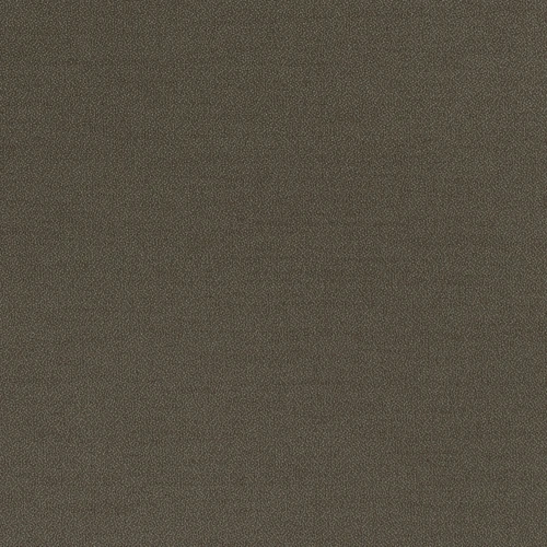 GG01001-410