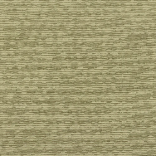 GG01095-003