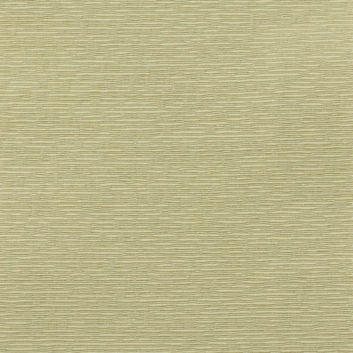 GG01095-004