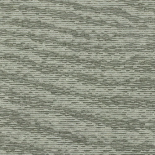GG01095-009