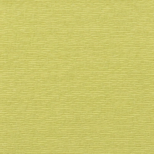 GG01095-015
