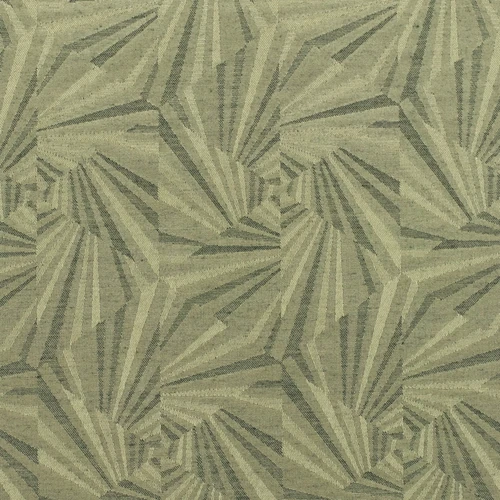 GG01096-018