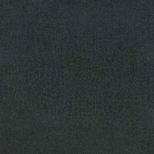 GG01096-037