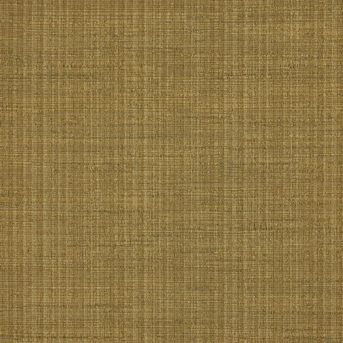 GG01097-021