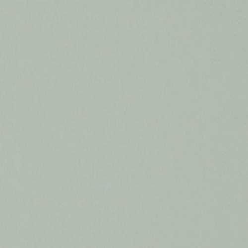 GG01101-009