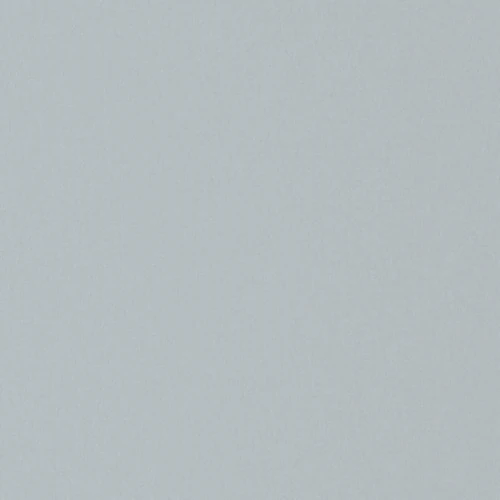 GG01101-010