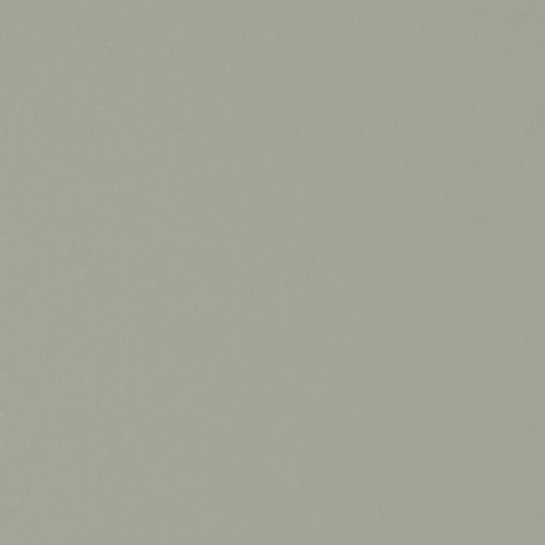 GG01101-011