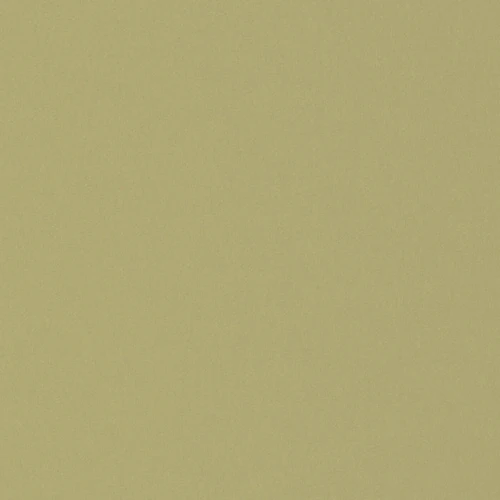 GG01101-025