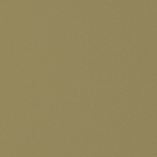 GG01101-026