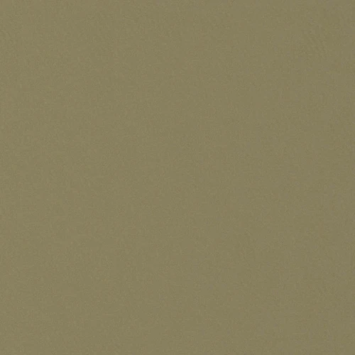 GG01101-027