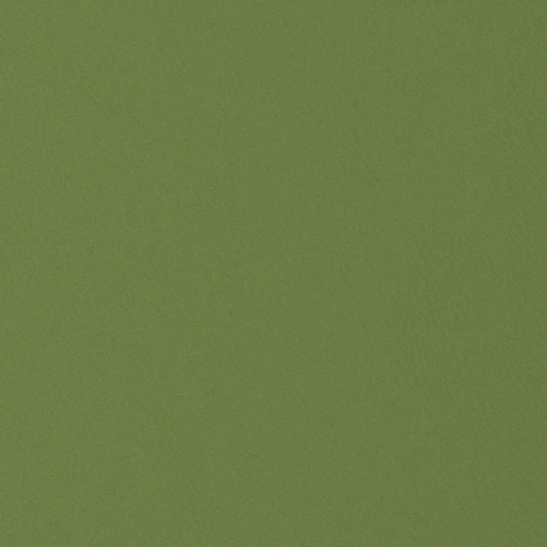 GG01101-029