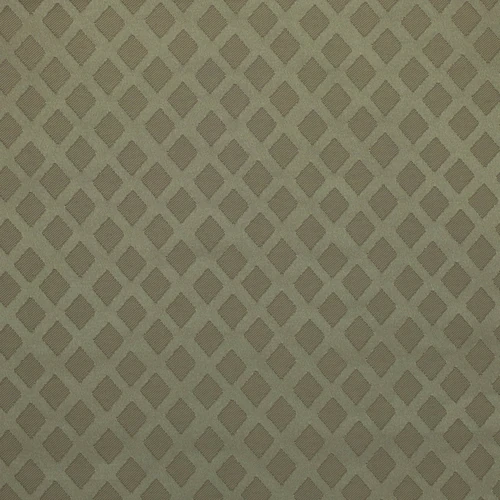 GG01132-007