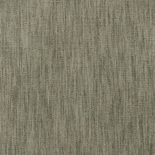 GG01133-007