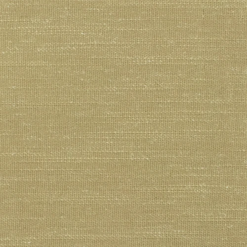 GG01167-006