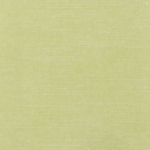 GG01167-019