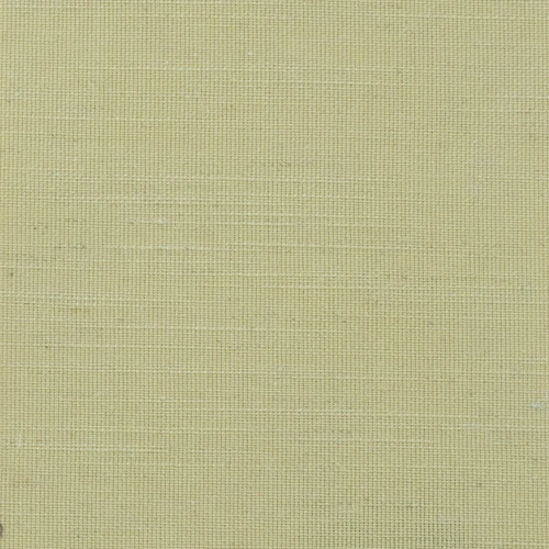 GG01167-020