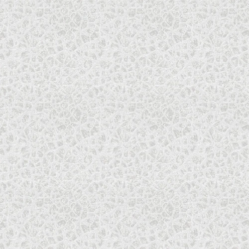 FASCINATION COLLECTION 06