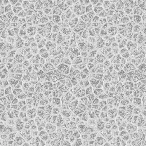 FASCINATION COLLECTION 06