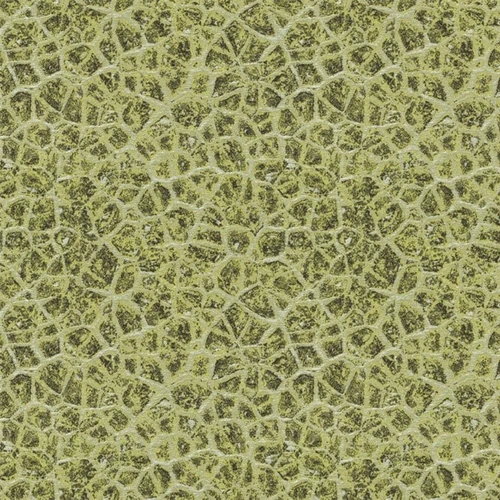 FASCINATION COLLECTION 06