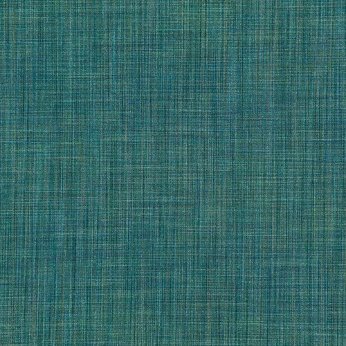 GG01299-01C