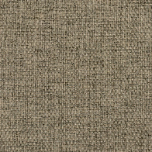 GG01343-008