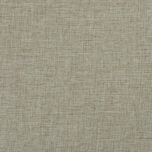 GG01343-011