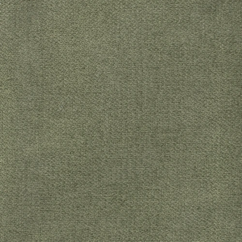 GG01345-007