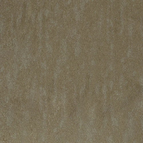 GG01370-005