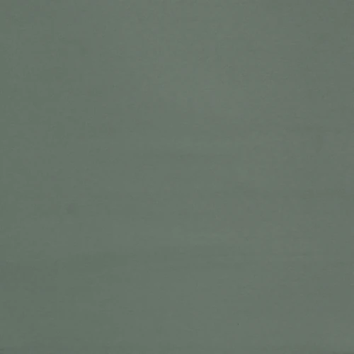 GG01442-011