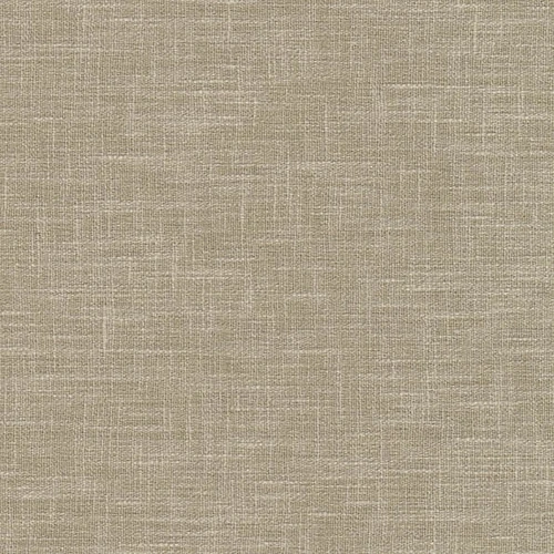KA00309-007