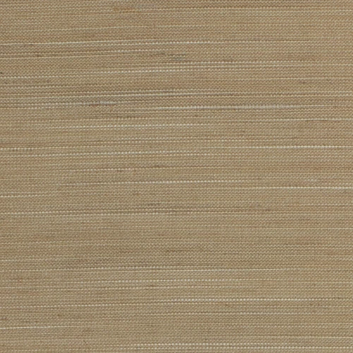 KK03774-004