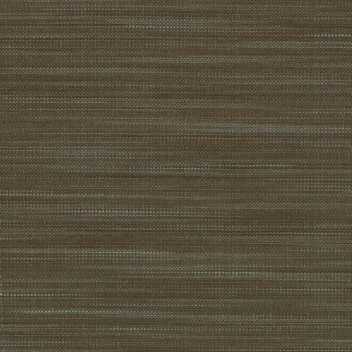 KK03774-005