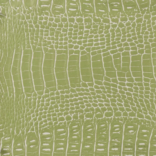 KK03781-001