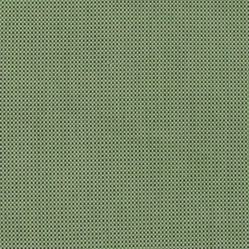 KK03797-029