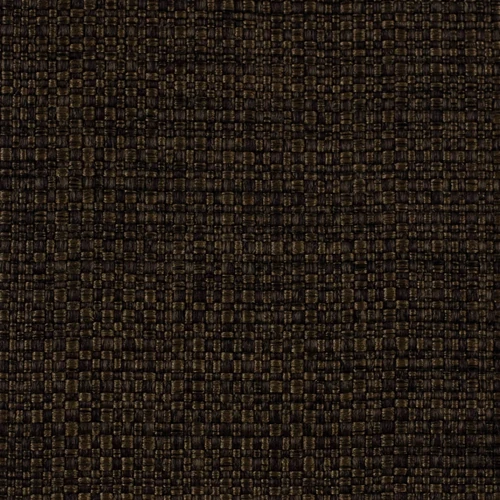 KK03879-007