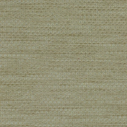 KK03886-006
