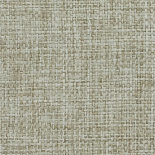 KK03936-009
