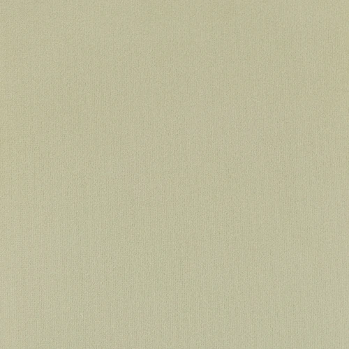 KK03993-007