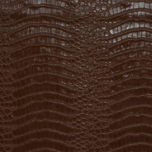 KK04168-001